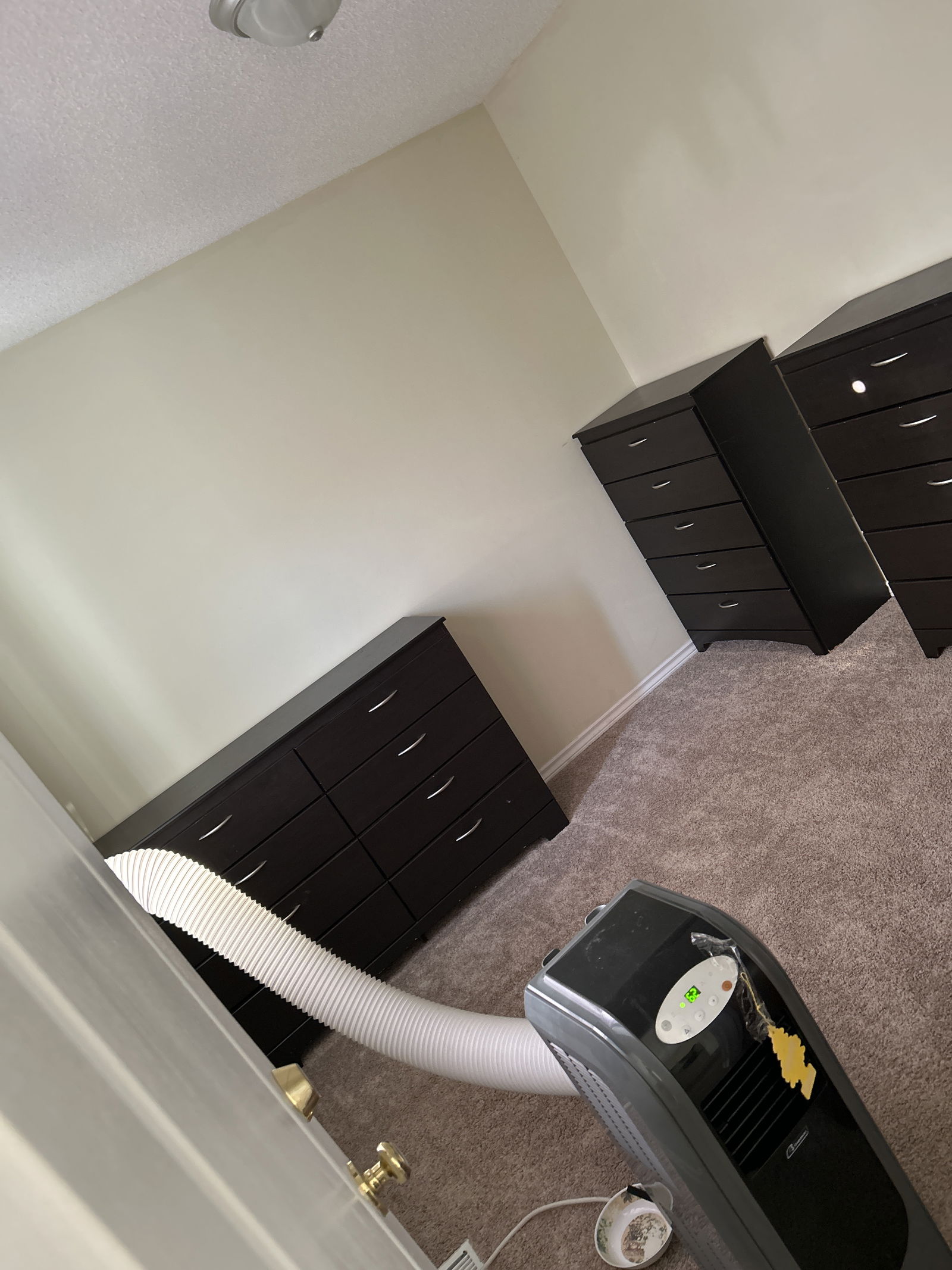 Zusammenleben Calgary 438934