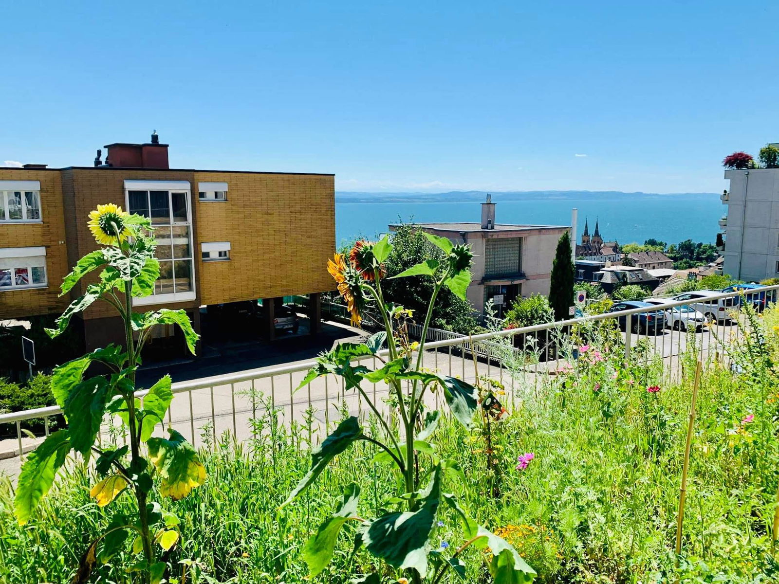 Kolokation Neuchâtel 600750