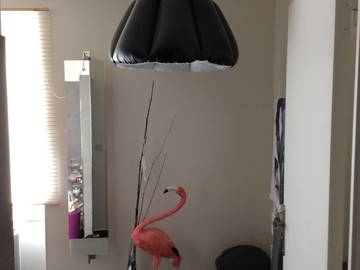 Chambre Chez L'habitant Chanteloup-Les-Vignes 230951-5