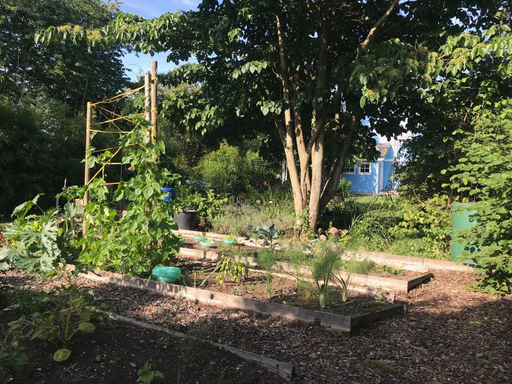 Życie Wolschwiller 646750