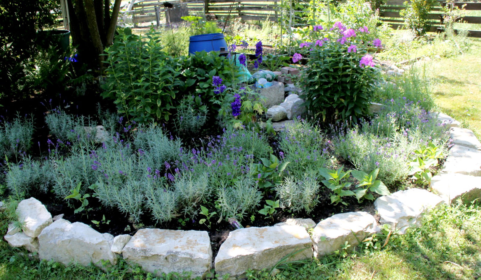 Życie Wolschwiller 646750