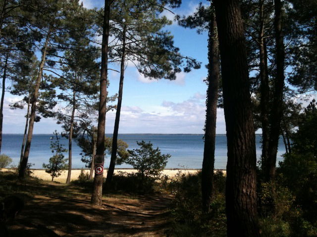 Niezależne Studio Biscarrosse 18179