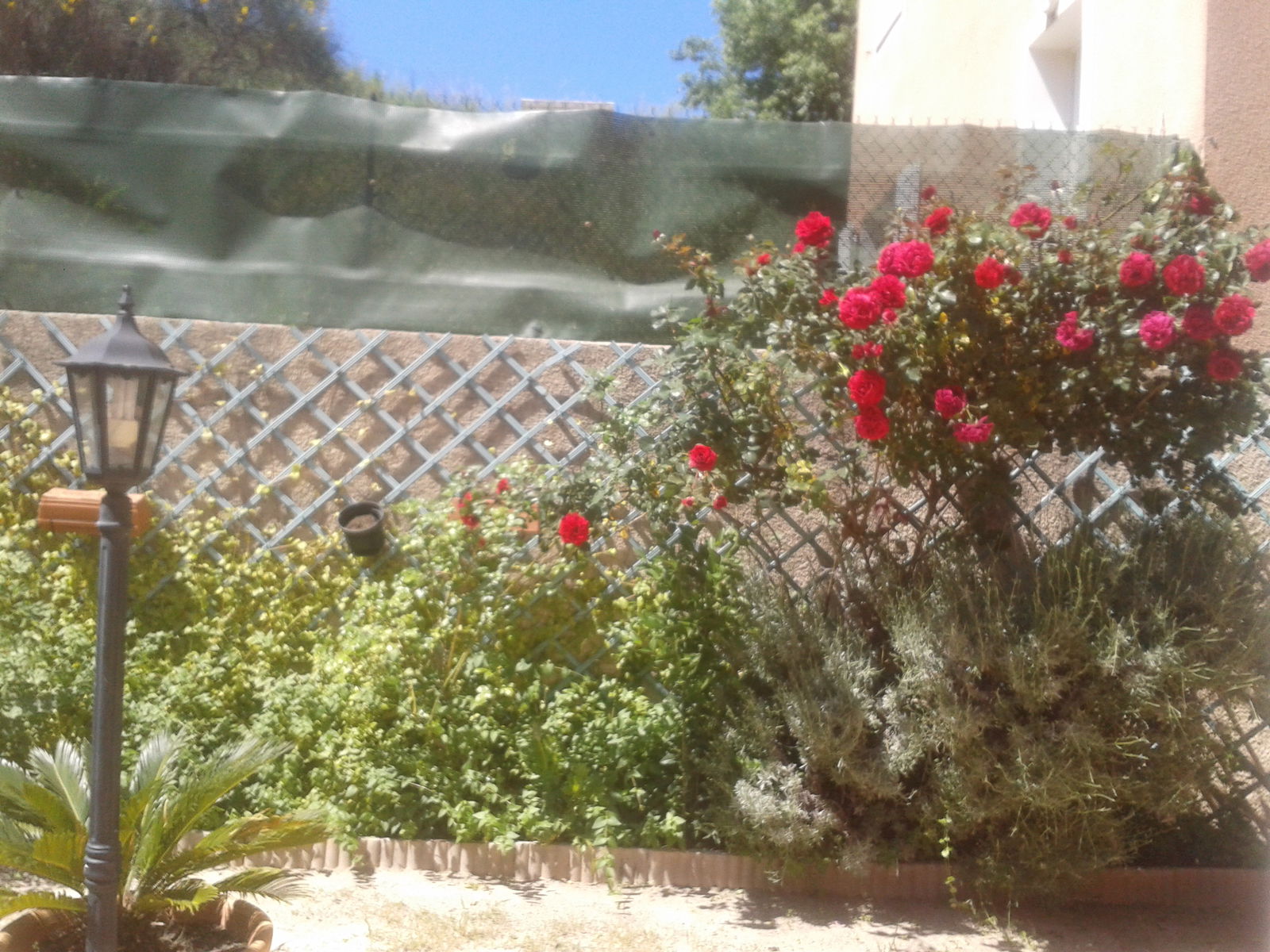 Niezależne Studio Béziers 125176