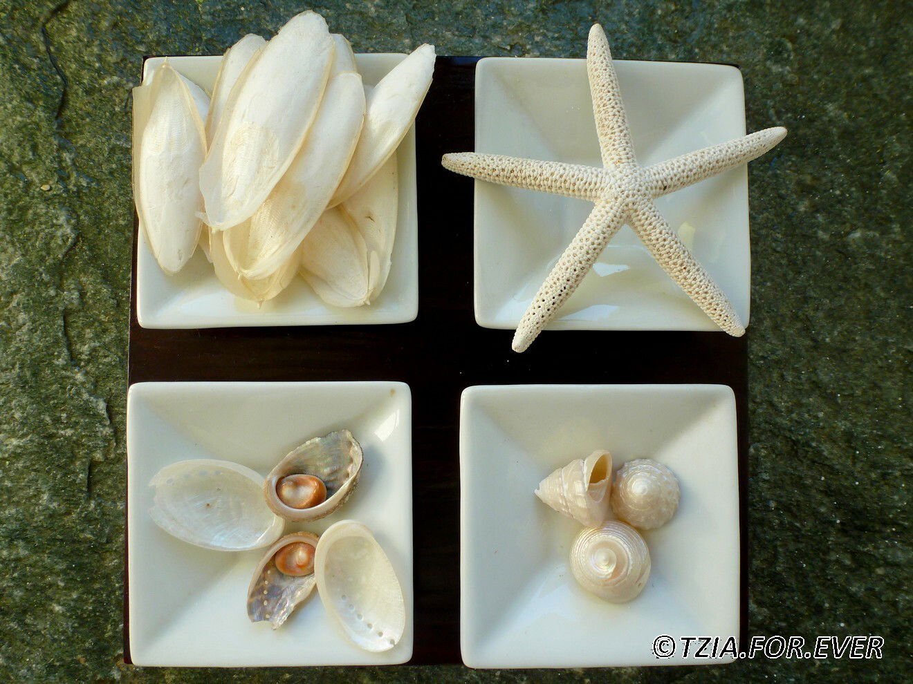 Gästezimmer Kea 132725