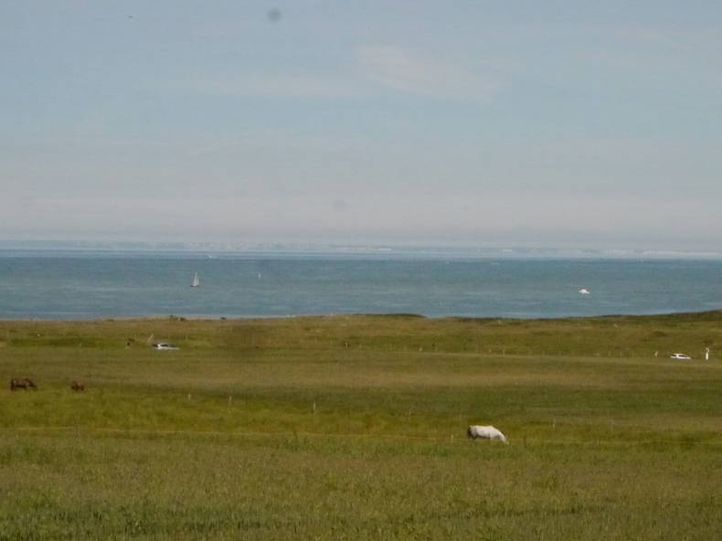 Ganzes Haus Wimereux 246526-5