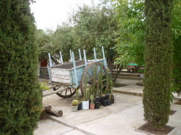 Gastfamilie Playa Ensenada 31009-4