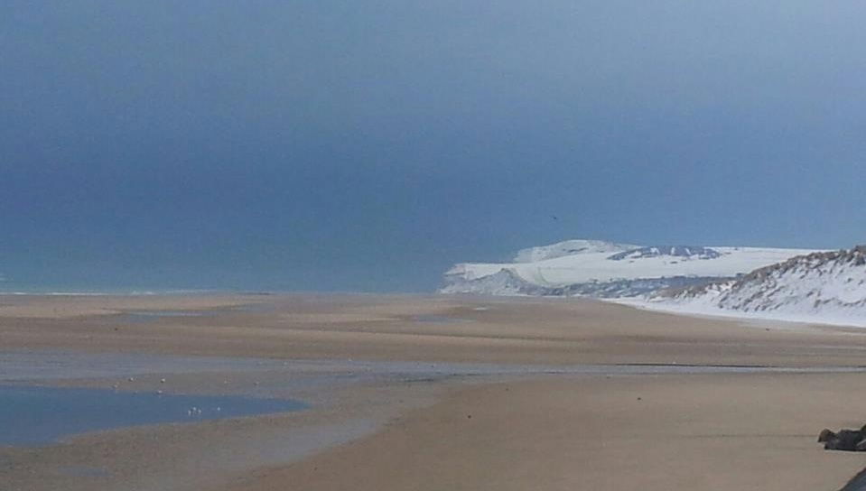 Unabhängiges Studio Wissant 67809