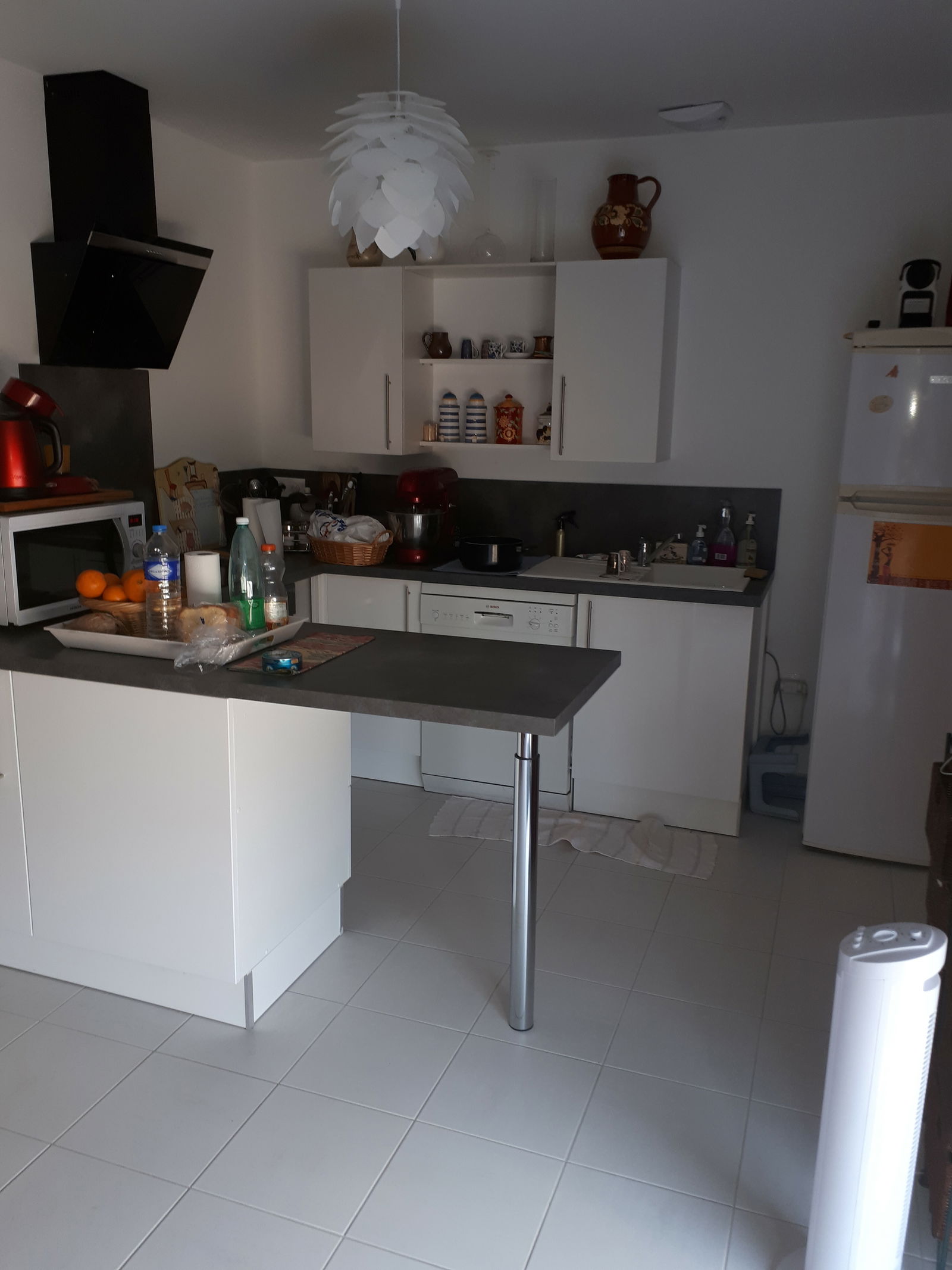 Colocation Amboise 132494