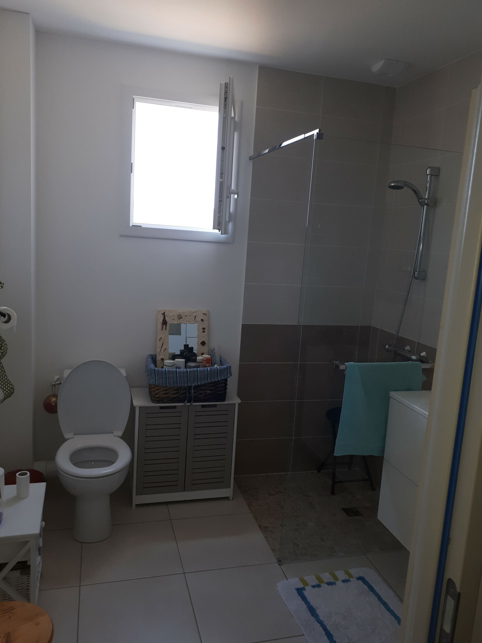 Colocation Amboise 132494