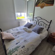 Colocation Amboise 132494
