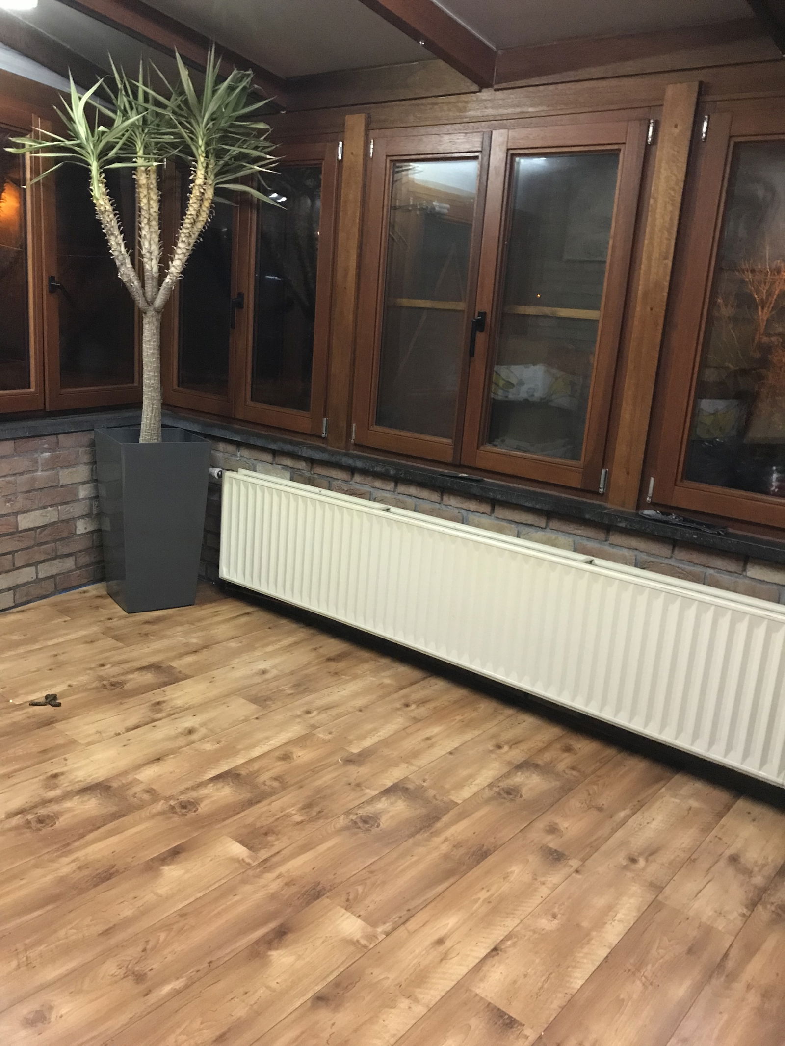 Kolokation Beyne-Heusay 215941