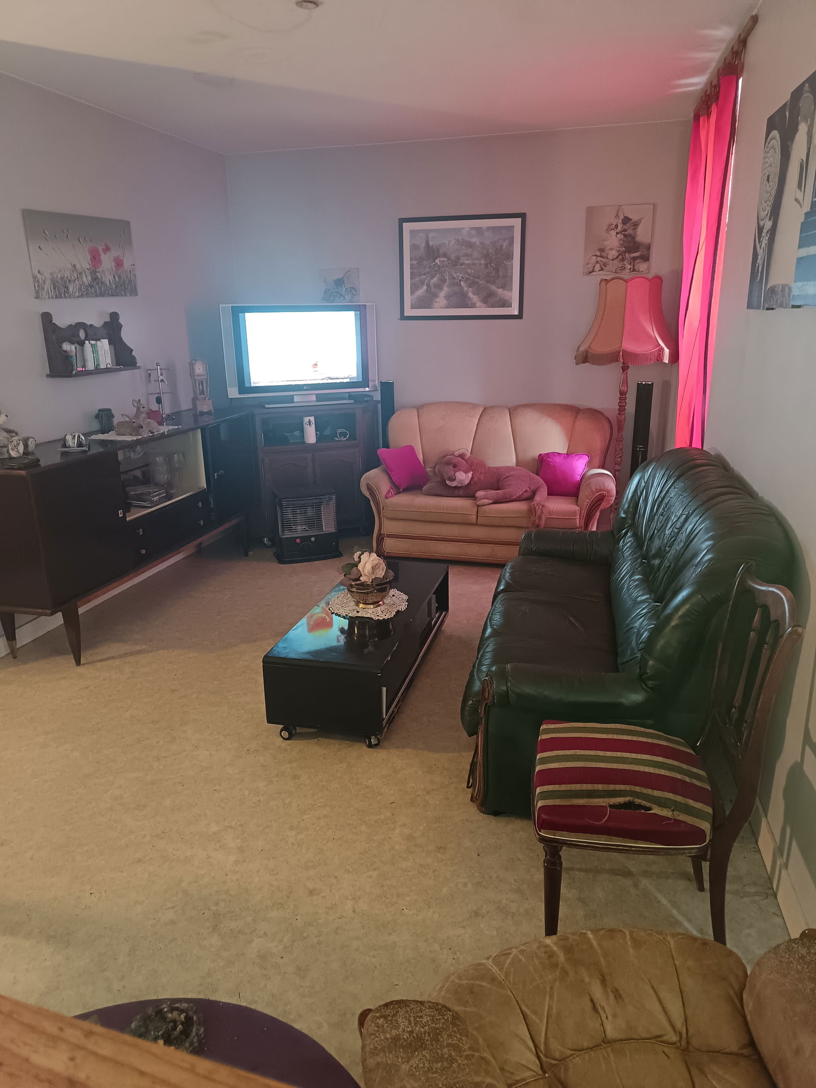 Gastfamilie Saint-Jean-d'Angély 442688