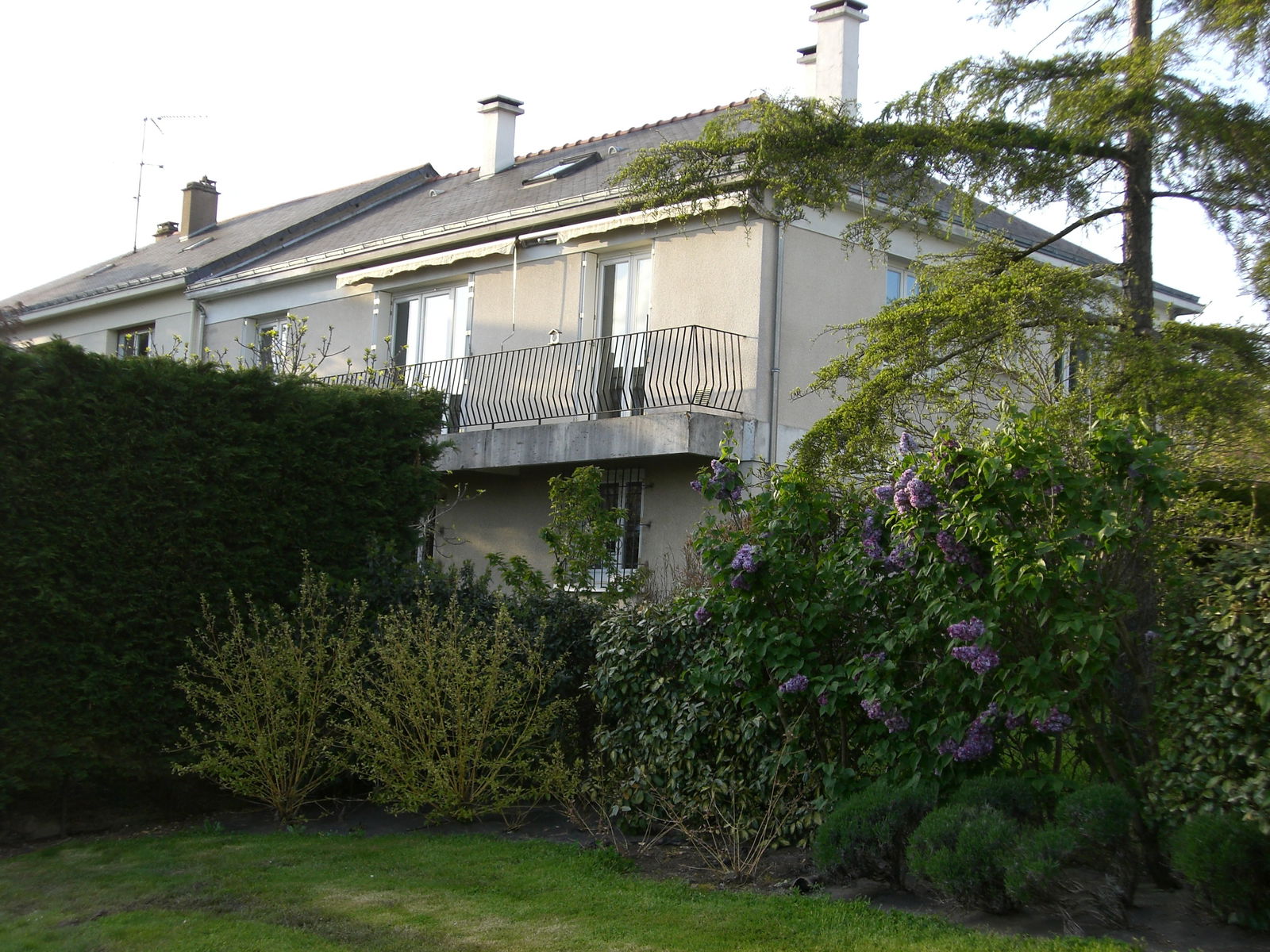 Kolokation Angers 8593