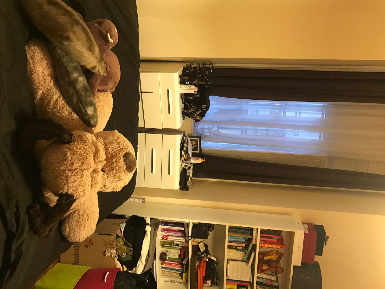 Kolokation Bordeaux 158851