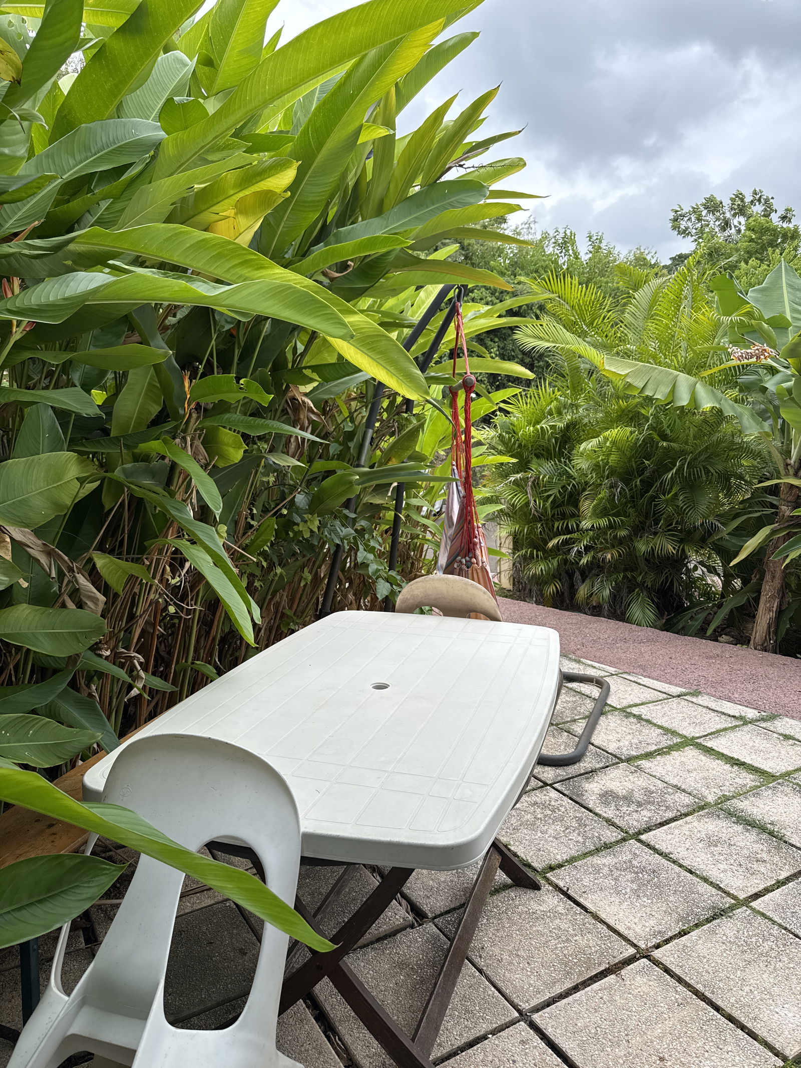 Kolokation Le Gosier 547687