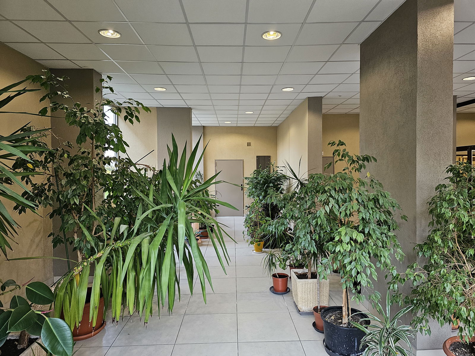 Kolokation Rosny-sous-Bois 423188