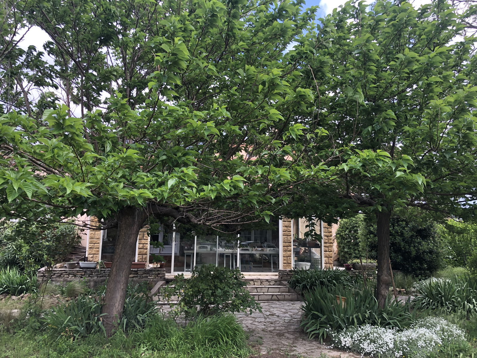 Gastfamilie Montagnac 287514