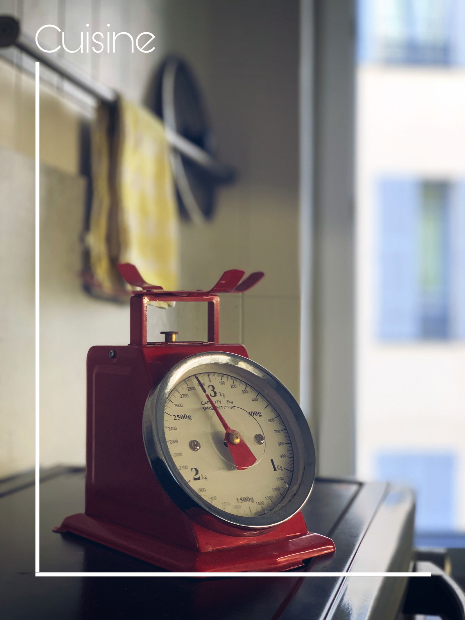 Gastfamilie Nice 222109