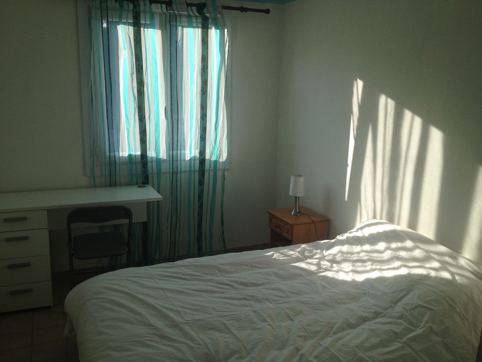 Kolokation Nice 99106