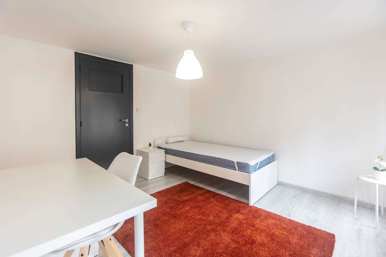 Kolokation Liège 620624