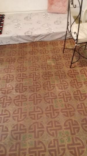 Kolokation València 136464