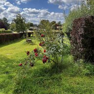 Kolokation Vaux-sur-Sûre 602735