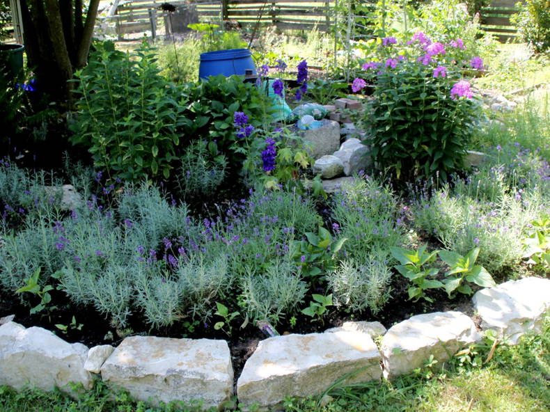 Coliving Wolschwiller 646750-5