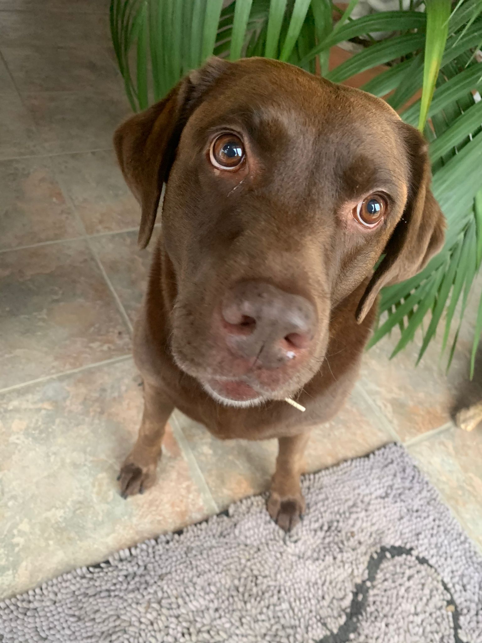 Zusammenleben Wolschwiller 646750