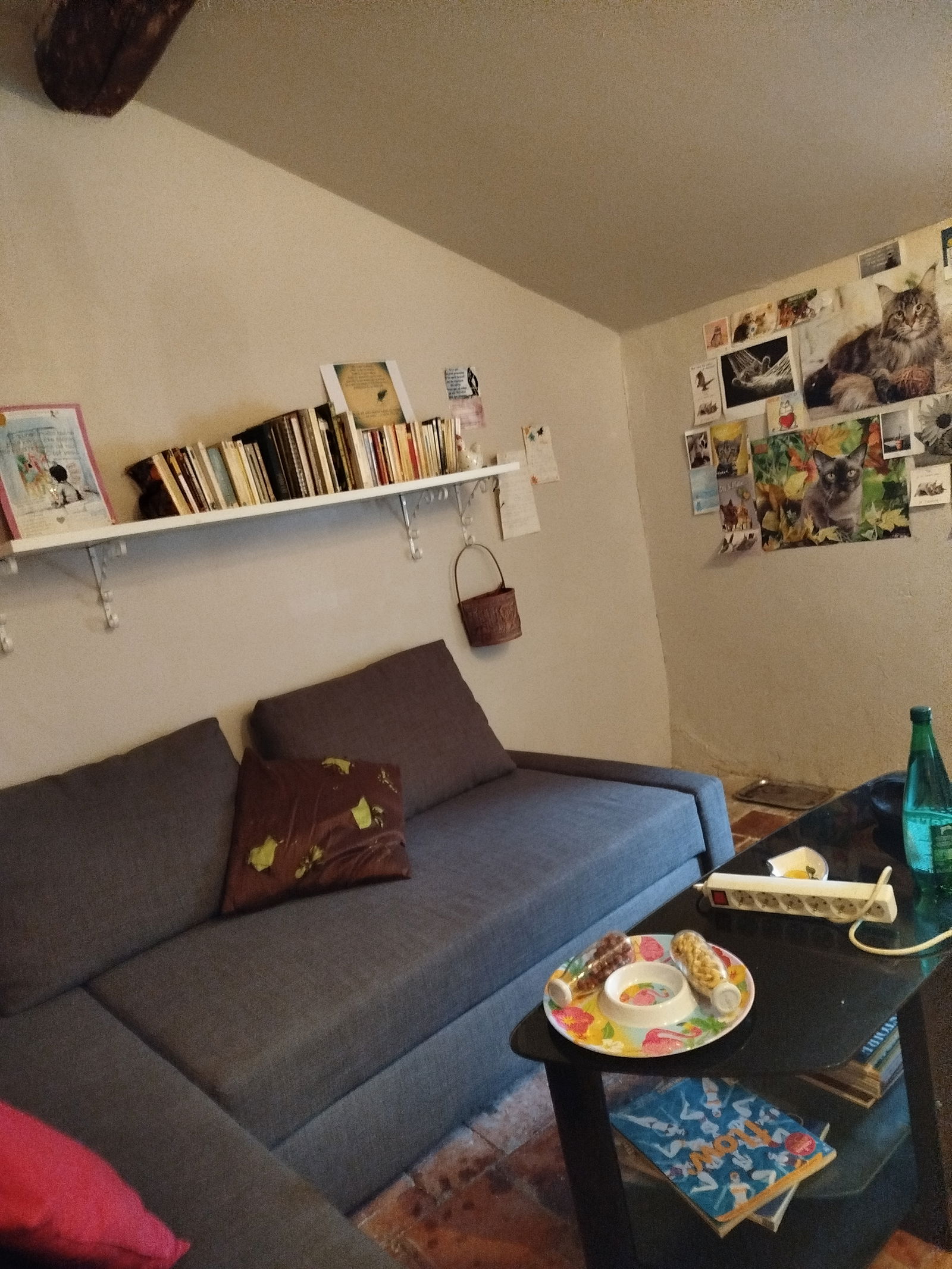 Gastfamilie Quillan 641375