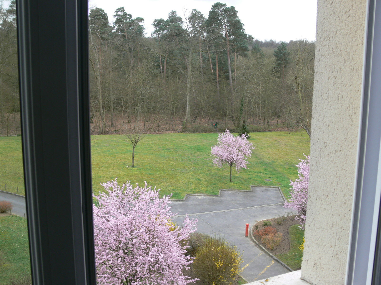 Unabhängiges Studio Coye-la-Forêt 203697