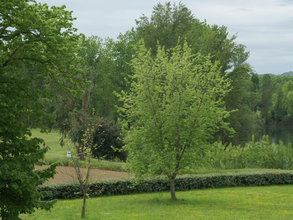 Kolokation Valence d'Agen 162313