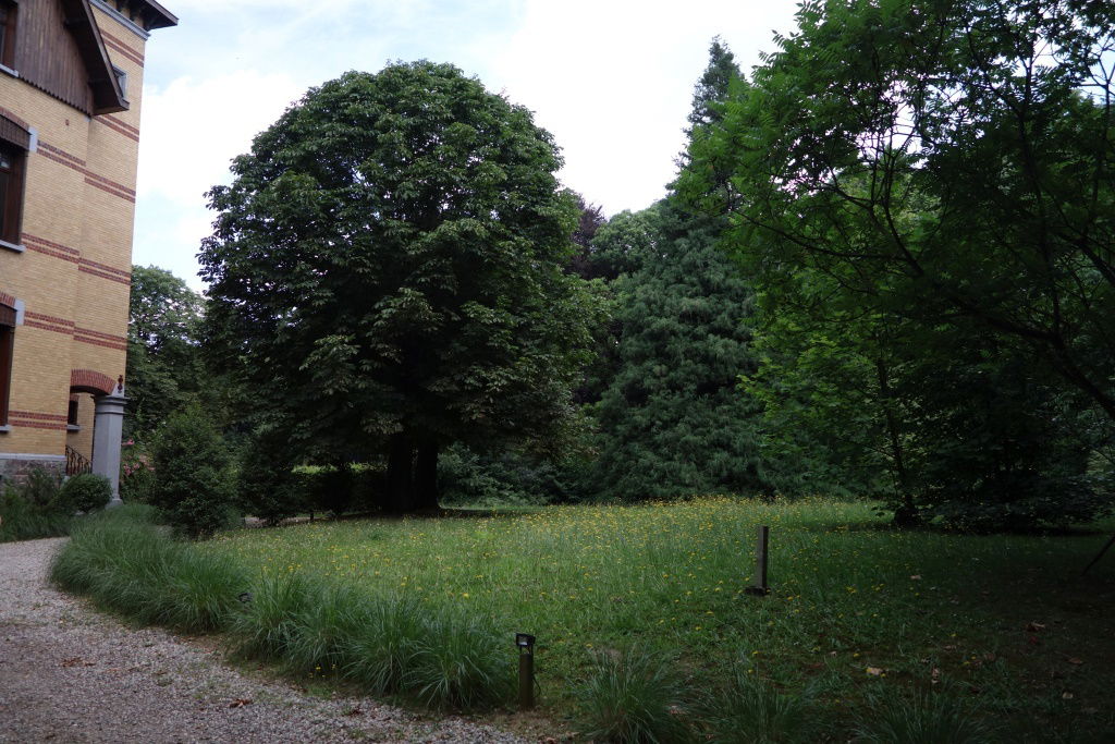 Gästezimmer Rhode-Saint-Genèse 124179