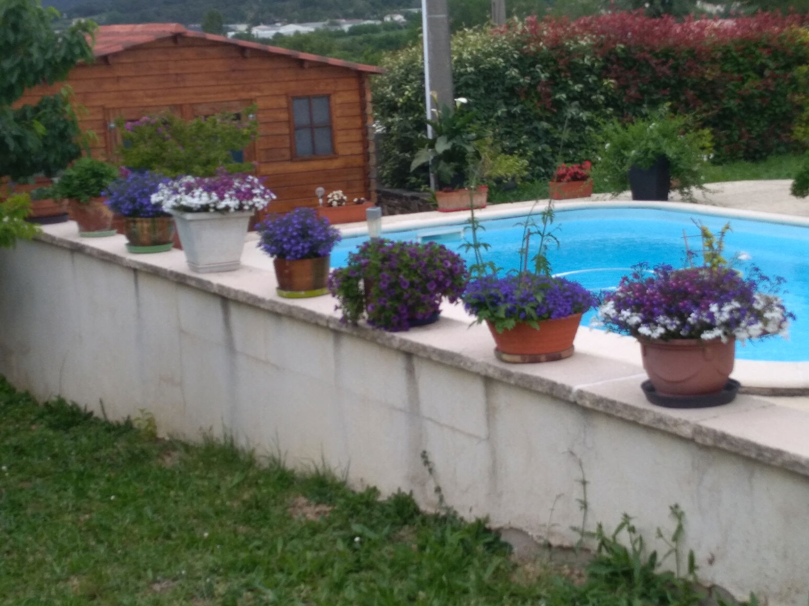 Unabhängiges Studio Saint-Privat-des-Vieux 258518