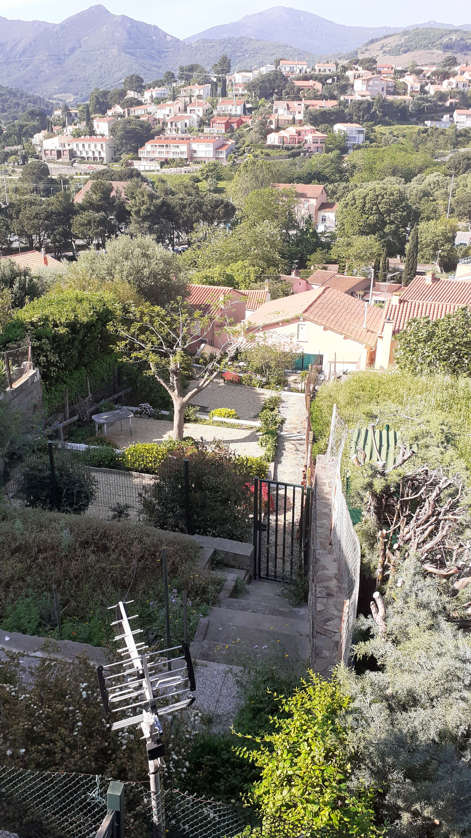 Kolokation Collioure 262269