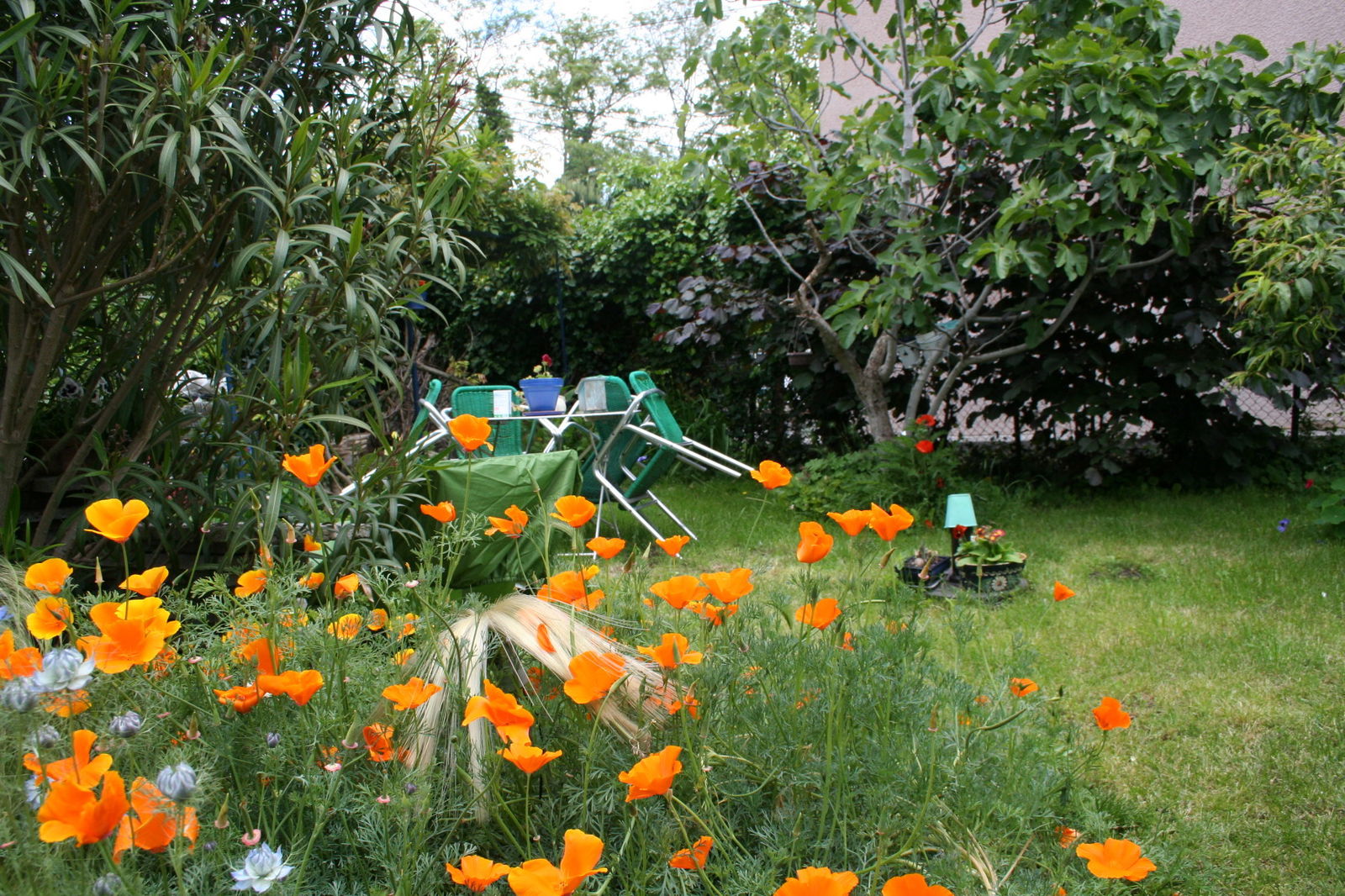 Kolokation Toulouse 222092