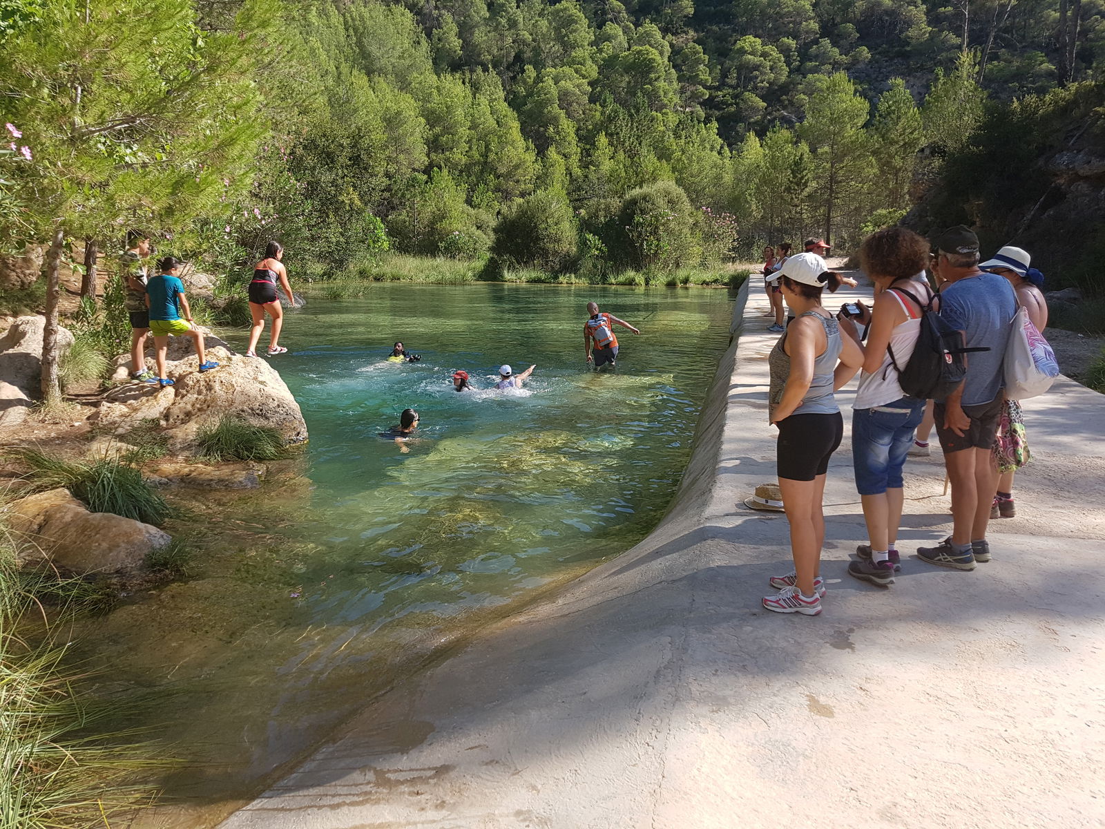 Unabhängiges Studio Anna 113878