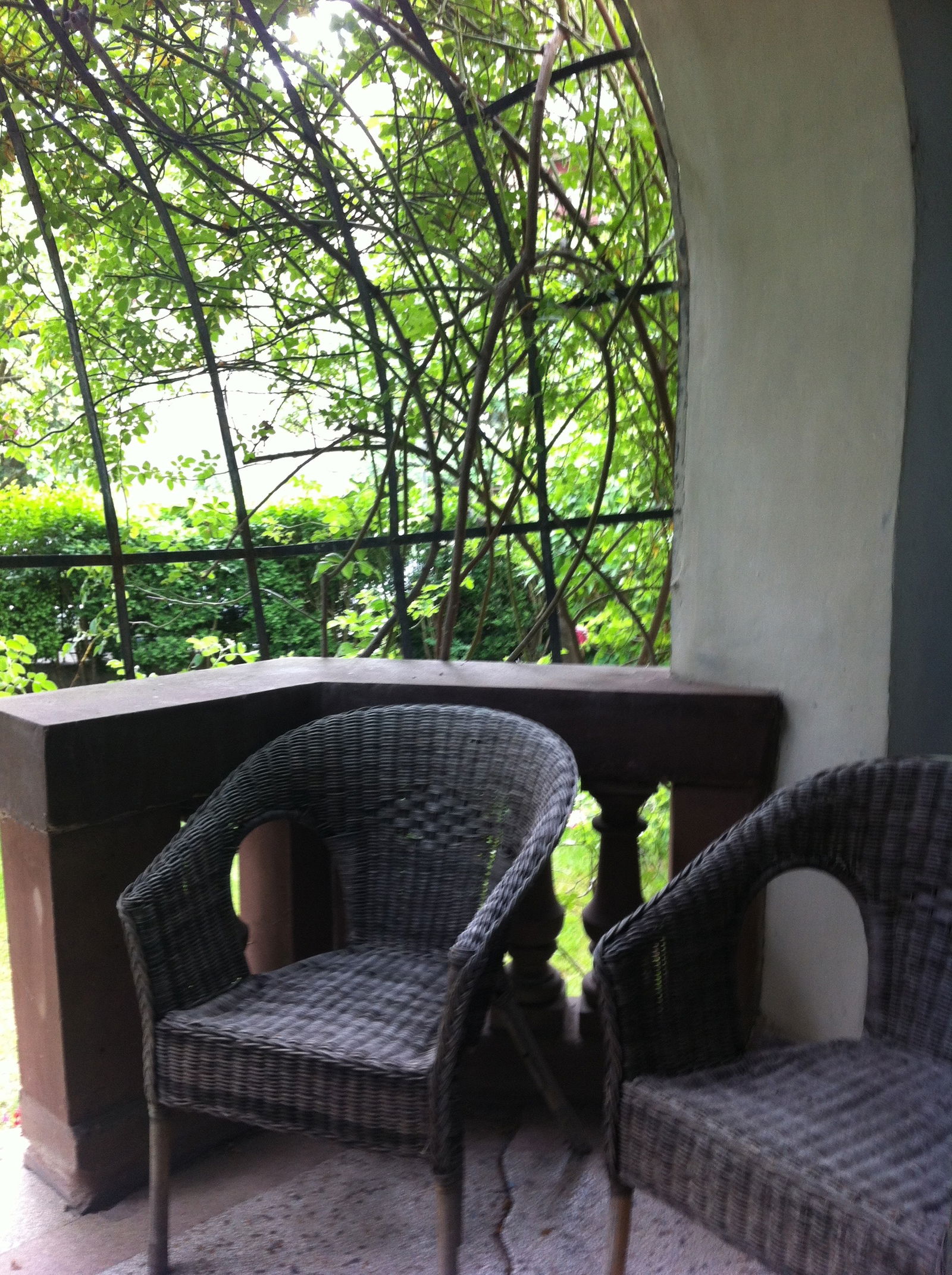 Kolokation Strasbourg 105681