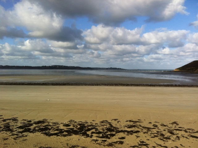 Unabhängiges Studio Saint-Michel-en-Grève 37152