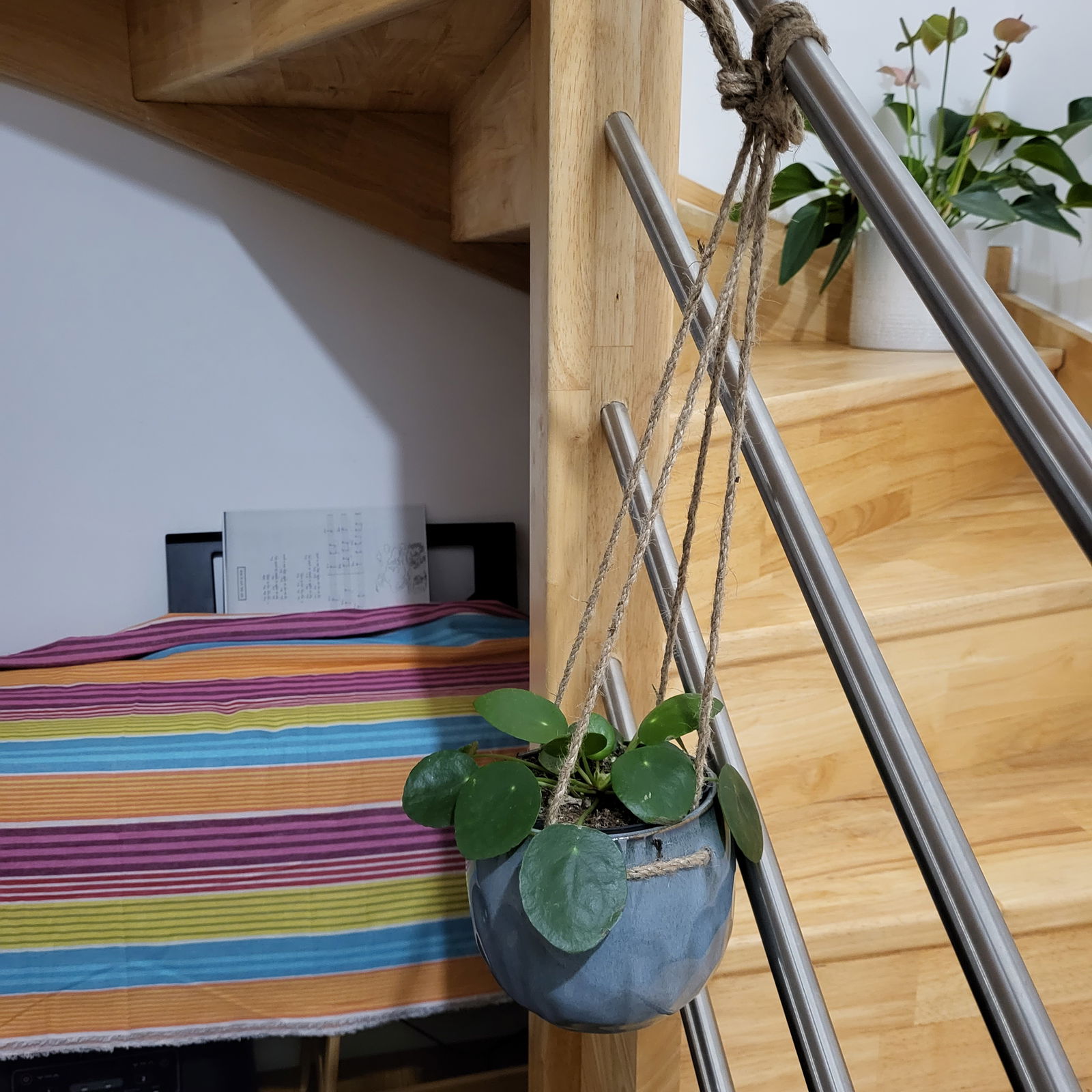 Homestay Lyon 306312