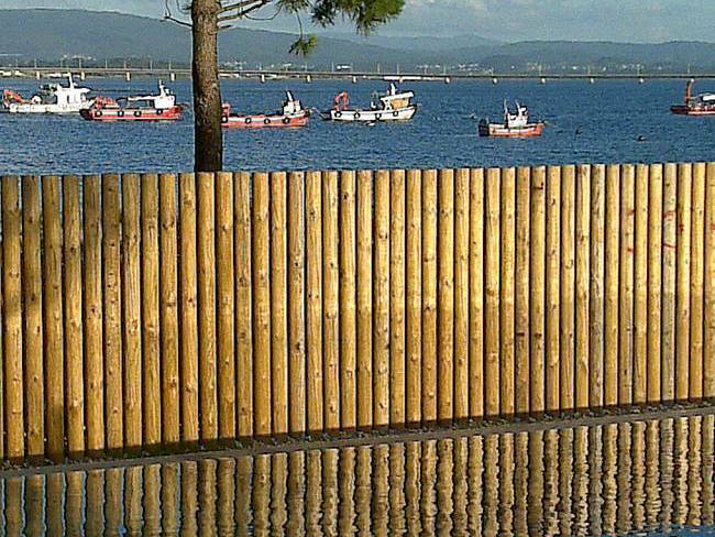 Entire Home Illa de Arousa 105504-1