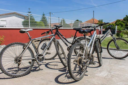 Toda La Casa Coimbra 223762