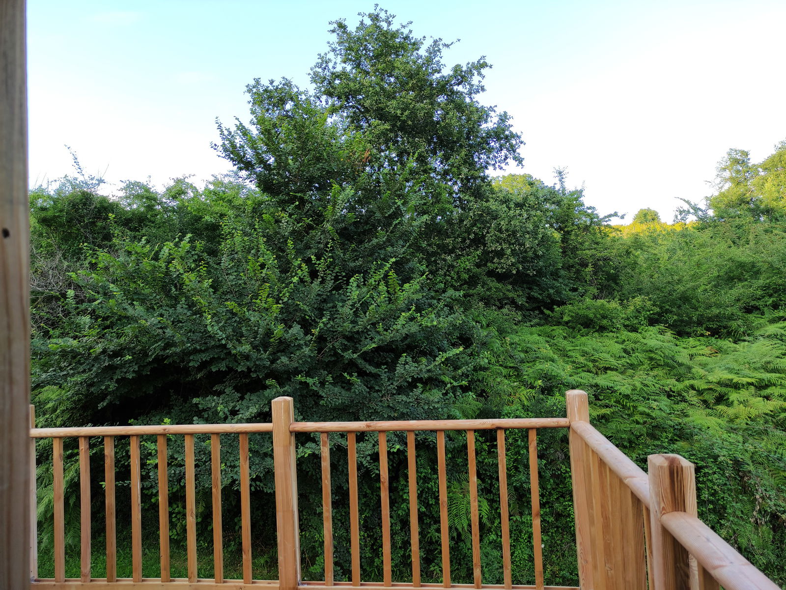 Homestay Le Tourne 331482