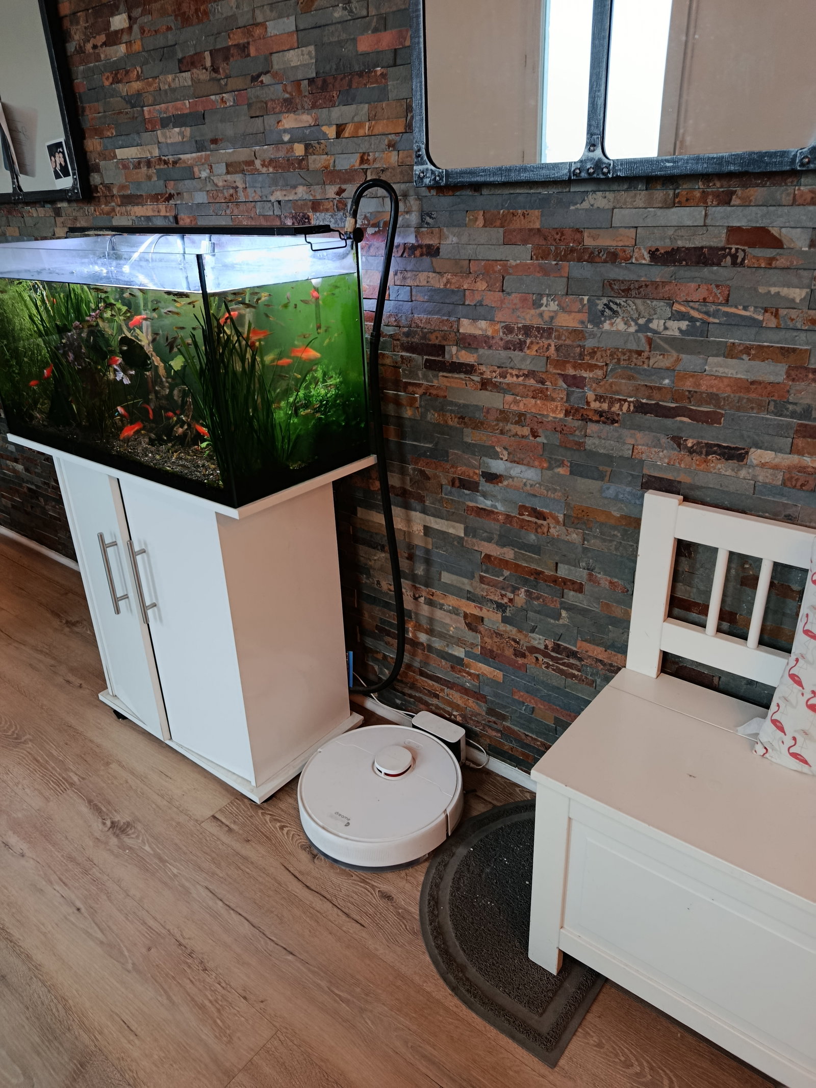 Coliving Sainte-Geneviève-des-Bois 660677