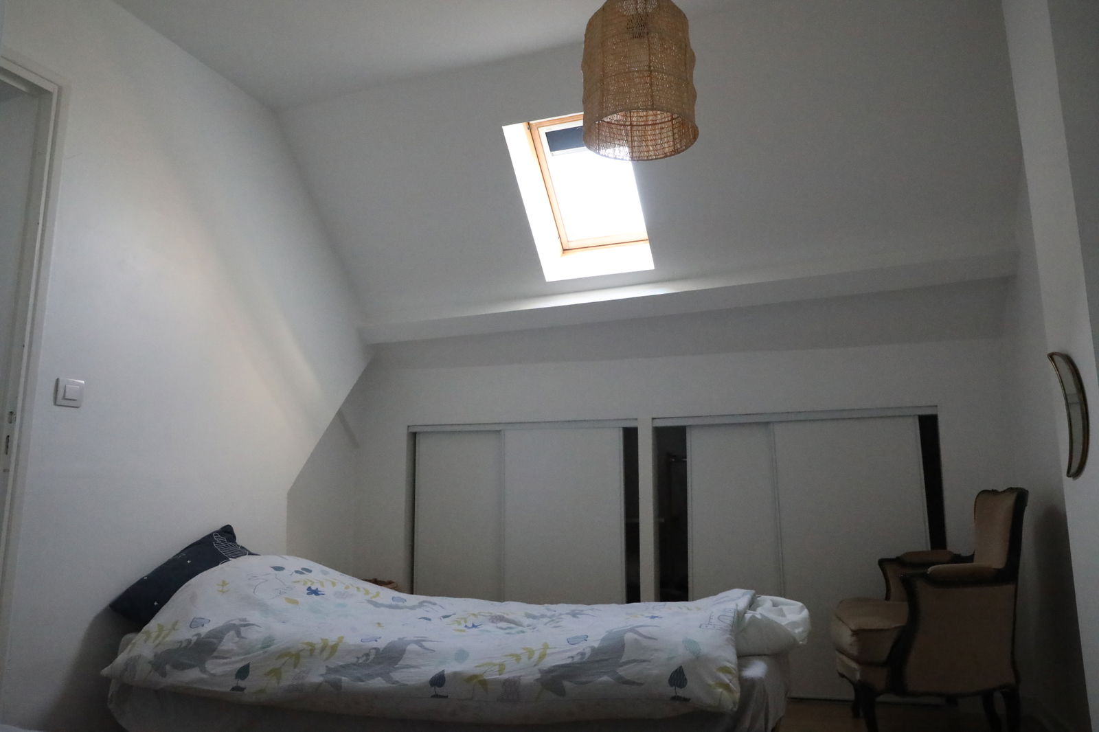 Kolokasie Lille 447048