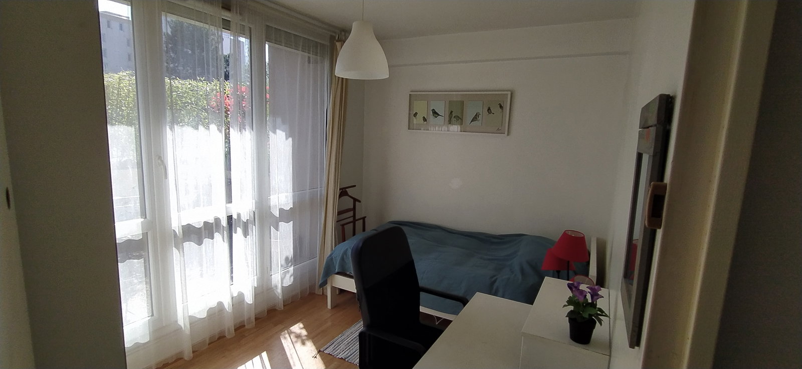 Kolokasie Évry-Courcouronnes 512093