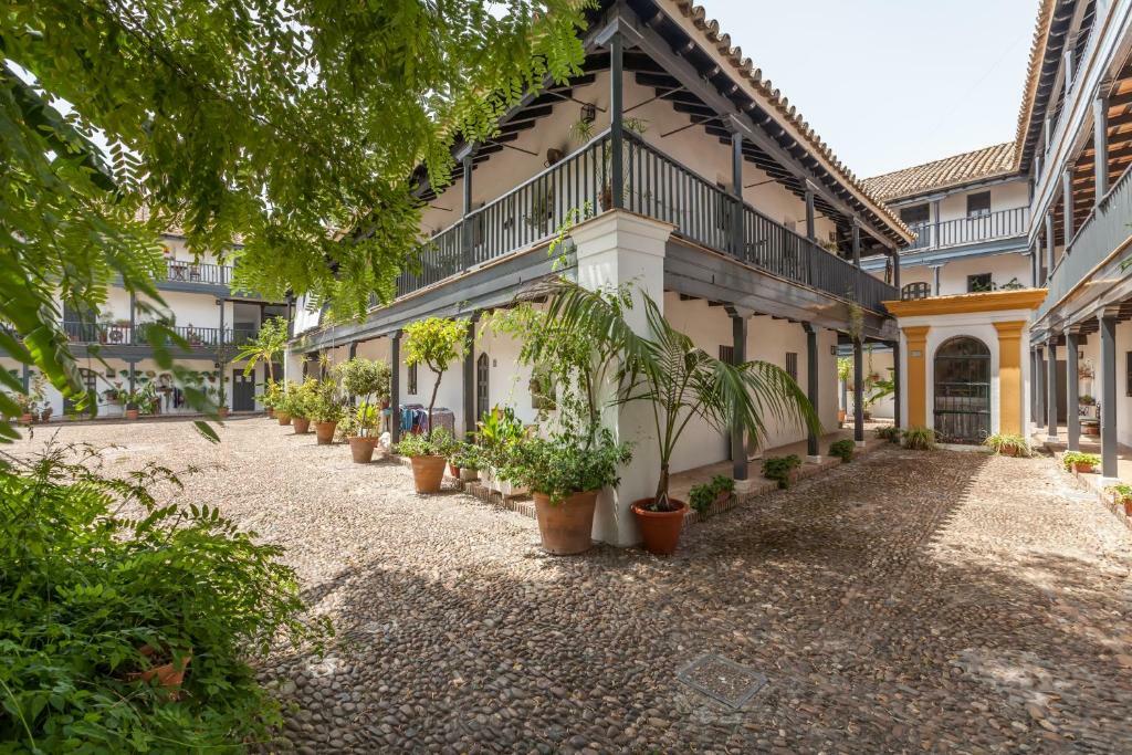 Onafhanklike Ateljee Sevilla 243083