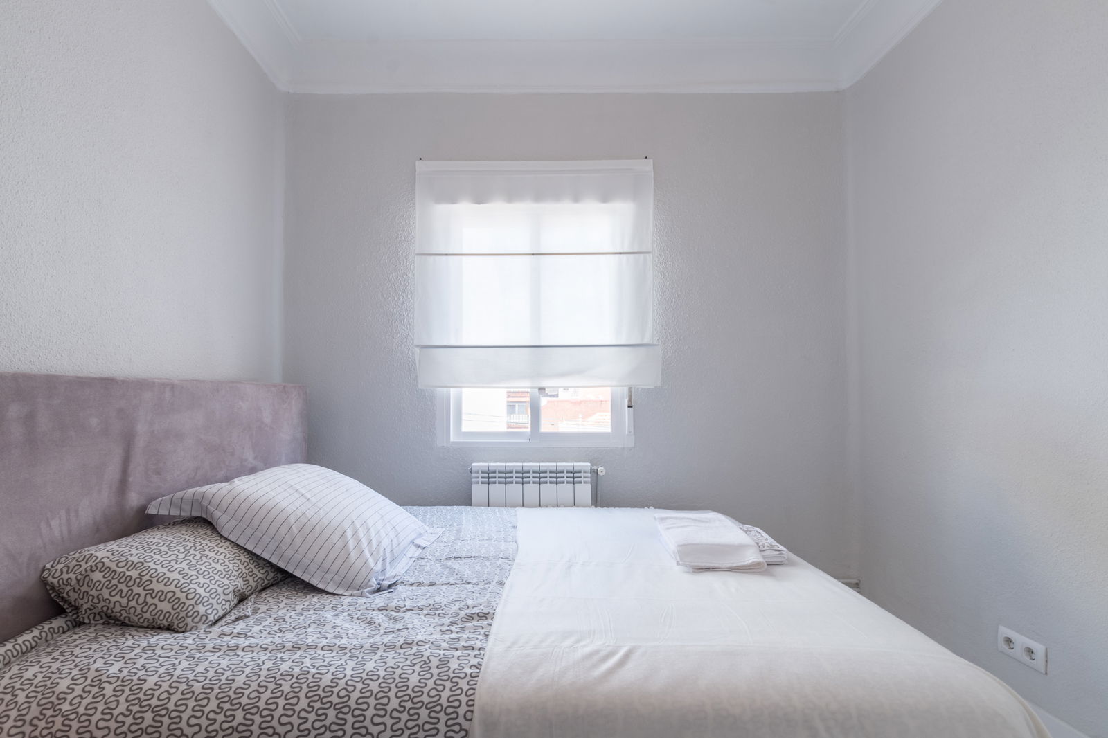 Kolokasie Madrid 133286