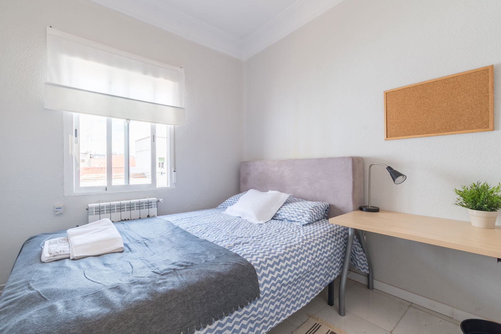 Kolokasie Madrid 133286