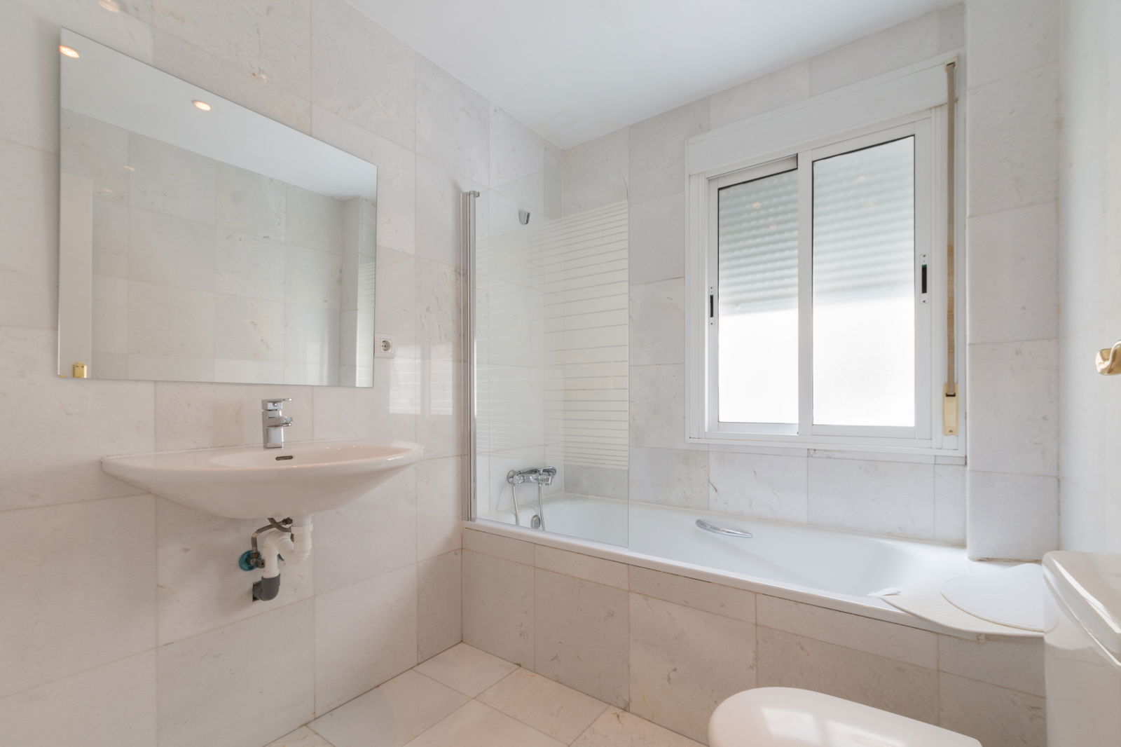 Kolokasie Madrid 133286