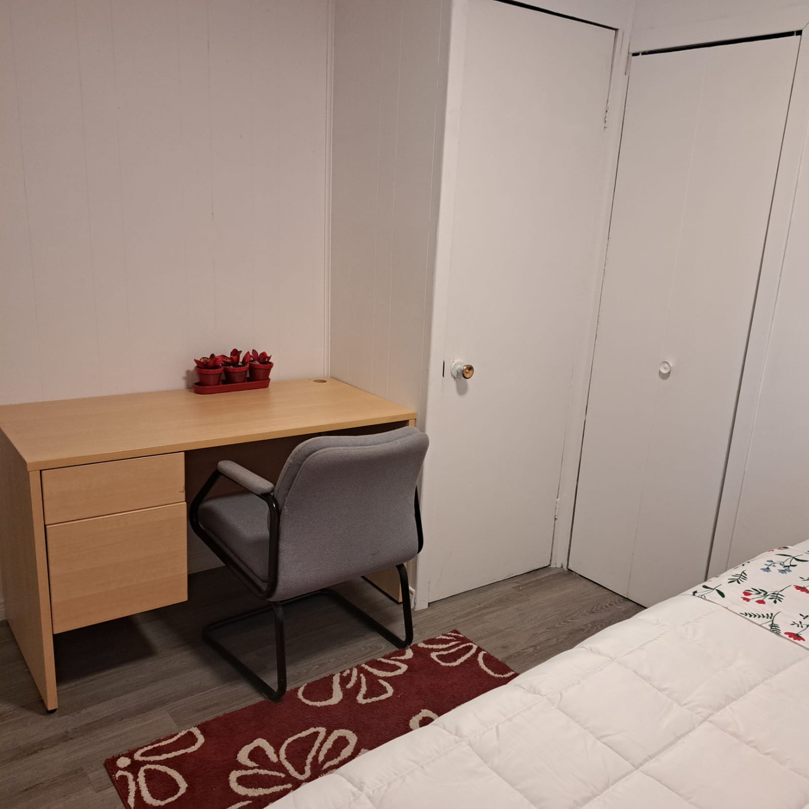 Colocation Trois-Rivières 604224